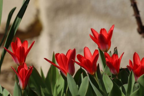 WhatsApp Image 2026-04-03 at 09.20.34 (2)